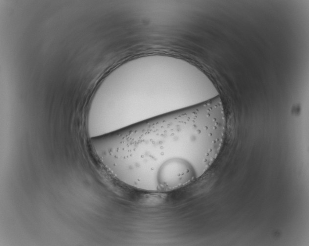 X0000114010474200910020956