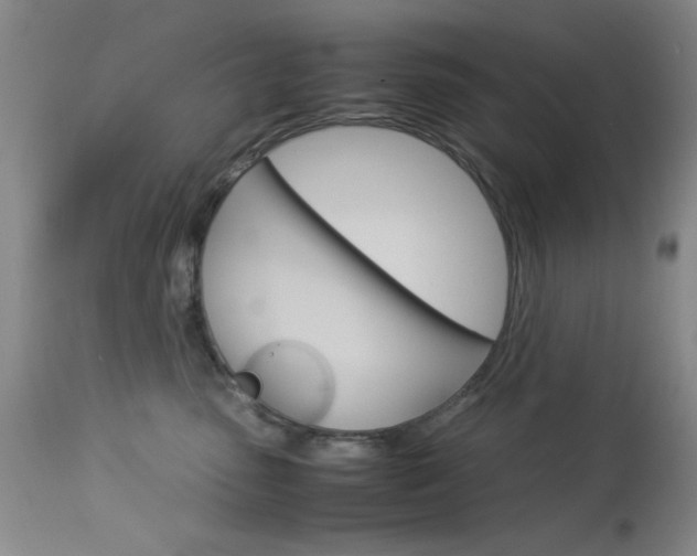 X0000114010475200910020956