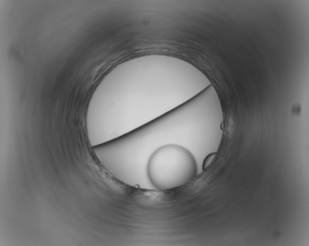 X0000114010478200910020956