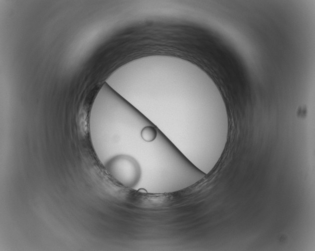 X0000114010479200910020956