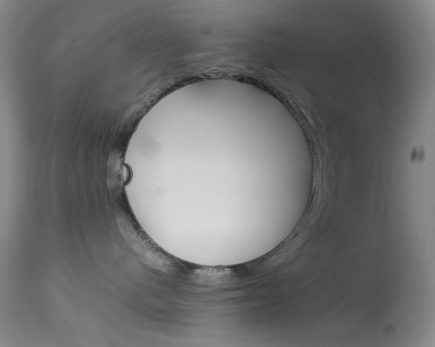 X0000114010480200910020956