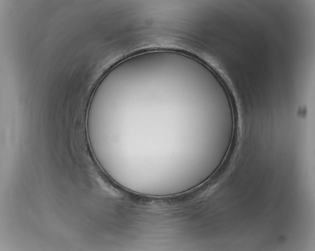 X0000114010481200910020956