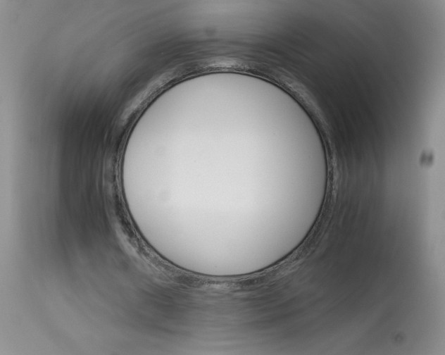 X0000114010482200910020956