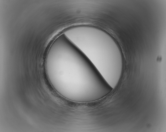 X0000114010483200910020956