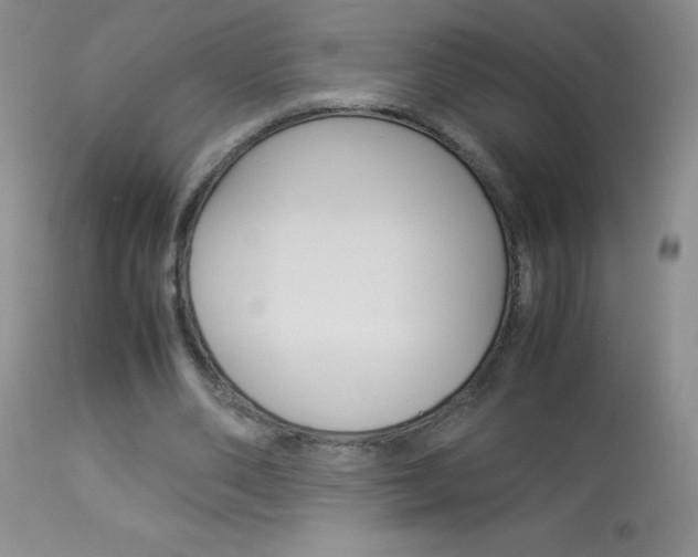 X0000114010486200910020956
