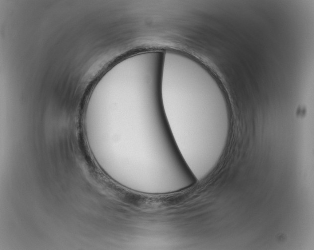 X0000114010487200910020956