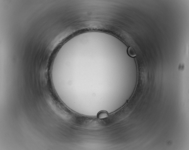 X0000114010488200910020956