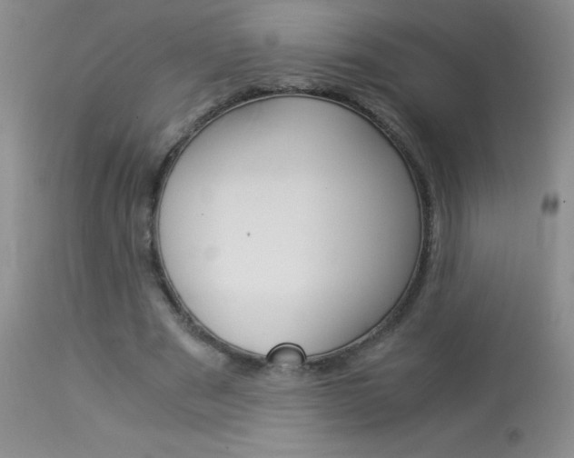 X0000114010489200910020956