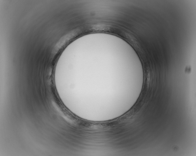 X0000114010490200910020956