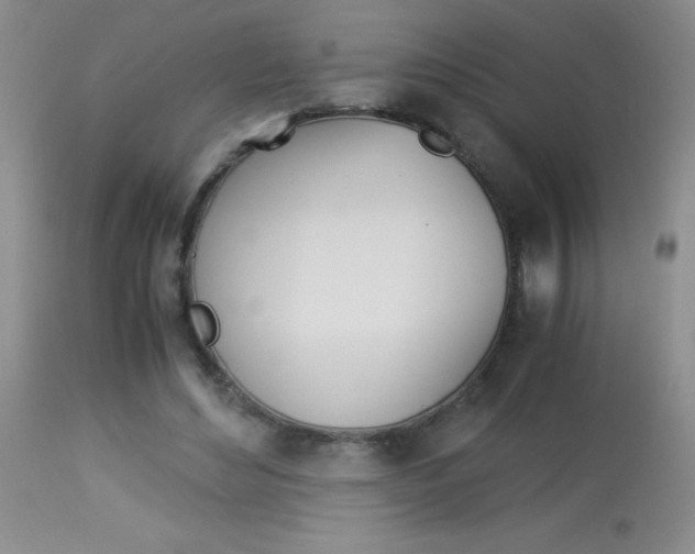 X0000114010492200910020956