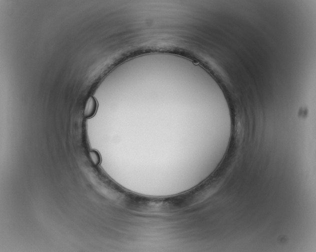X0000114010493200910020956
