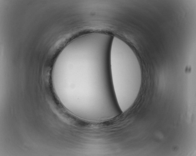 X0000114010495200910020956
