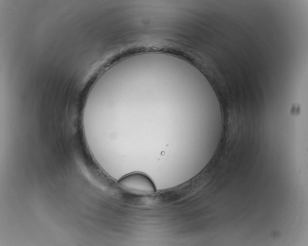 X0000114010496200910020956