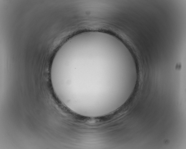 X0000114010497200910020956