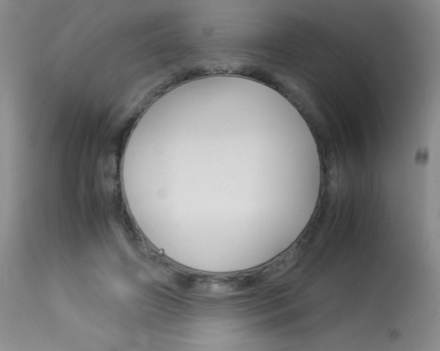 X0000114010498200910020956