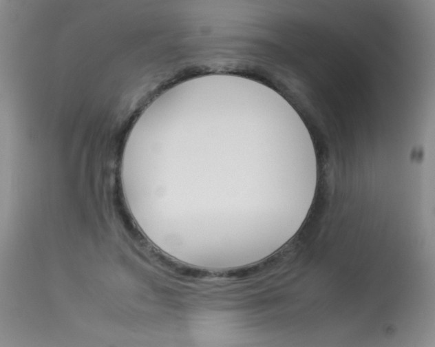 X0000114010499200910020956