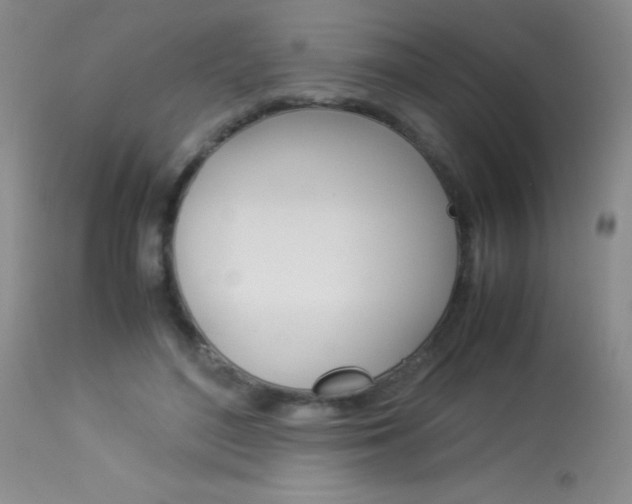 X0000114010500200910020956