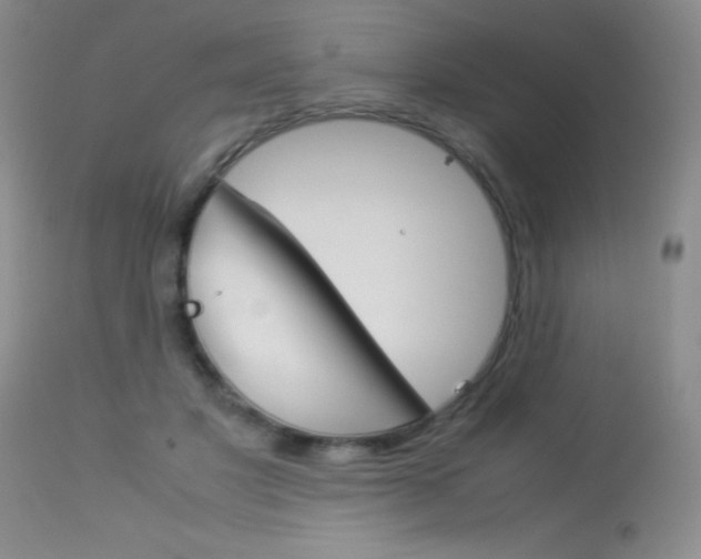 X0000114010501200910020956