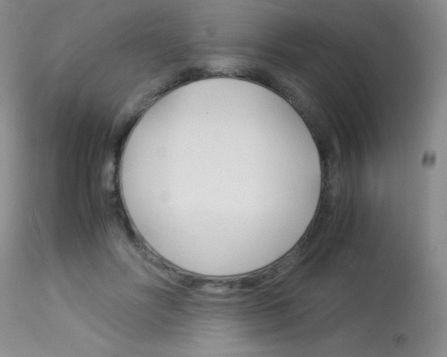 X0000114010502200910020956