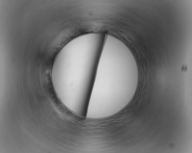 X0000114010503200910020956
