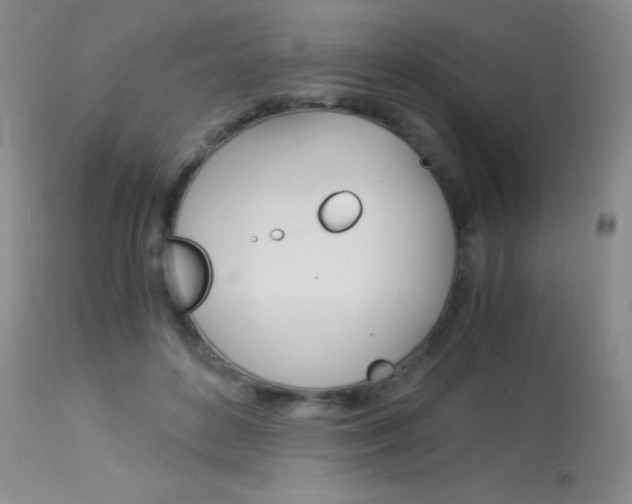 X0000114010504200910020956