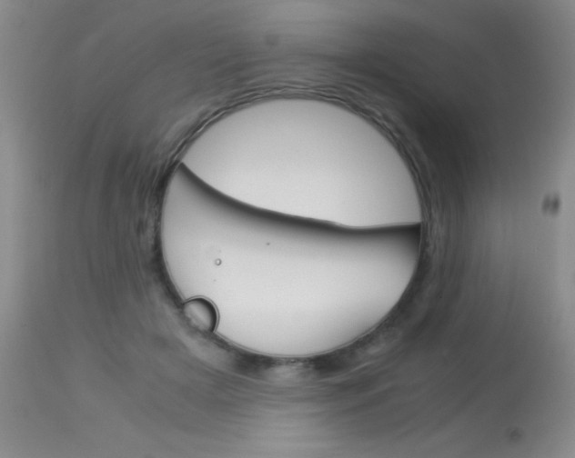 X0000114010505200910020956