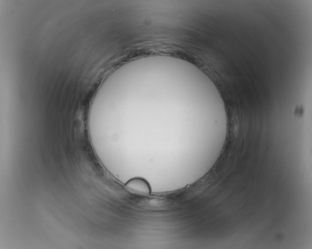 X0000114010506200910020955
