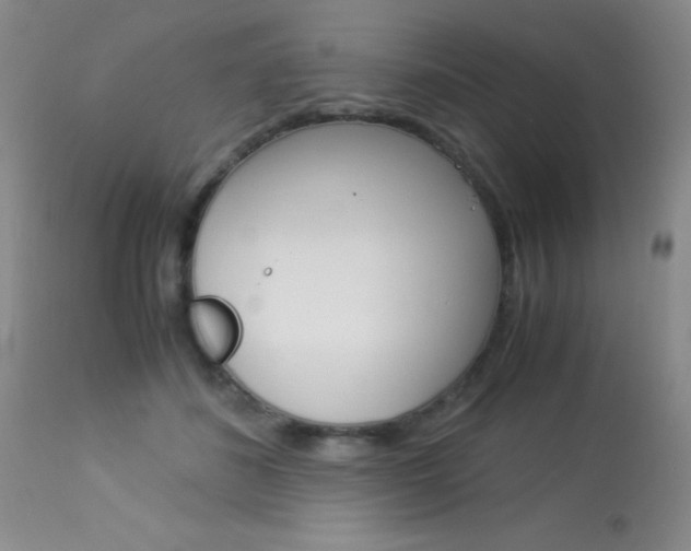 X0000114010508200910020955