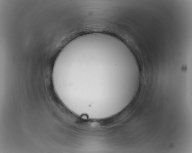 X0000114010509200910020955
