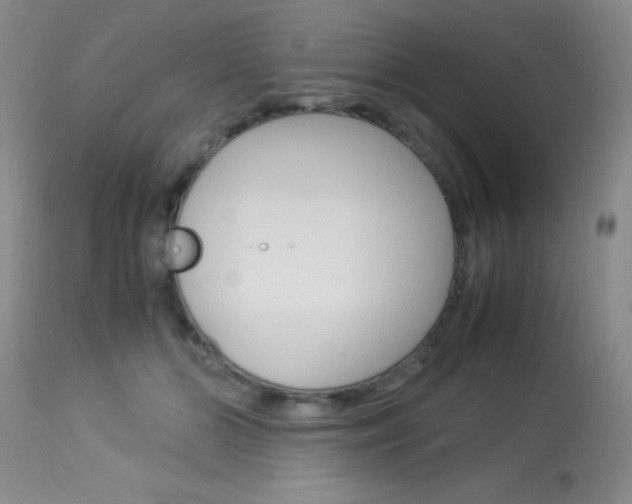 X0000114010510200910020955