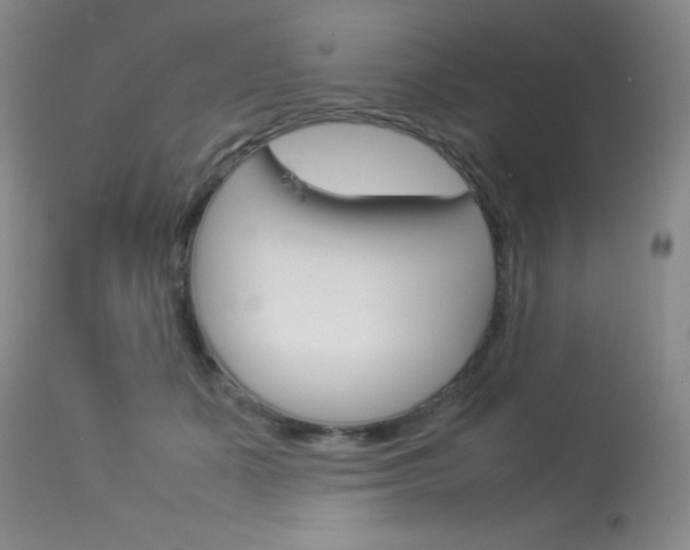 X0000114010511200910020955