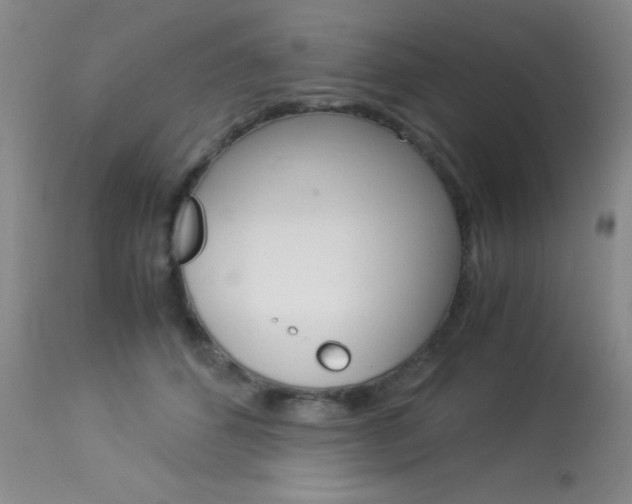 X0000114010512200910020955
