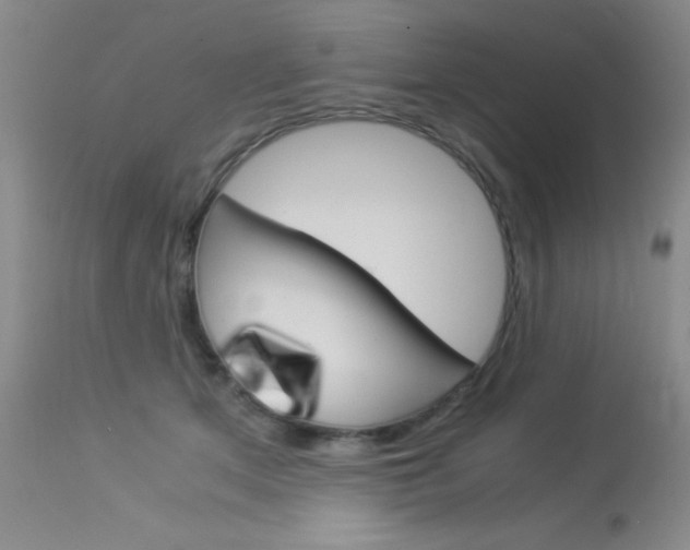 X0000114010513200910020955