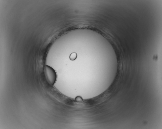 X0000114010516200910020955