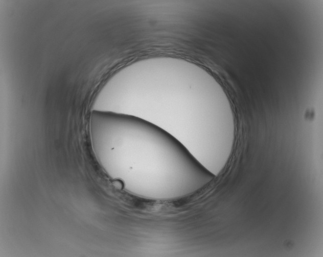 X0000114010517200910020955