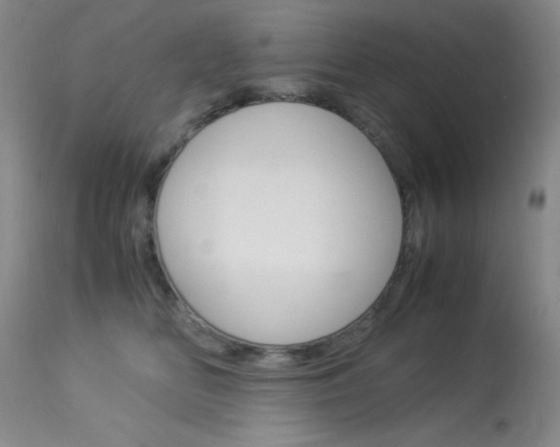 X0000114010518200910020955