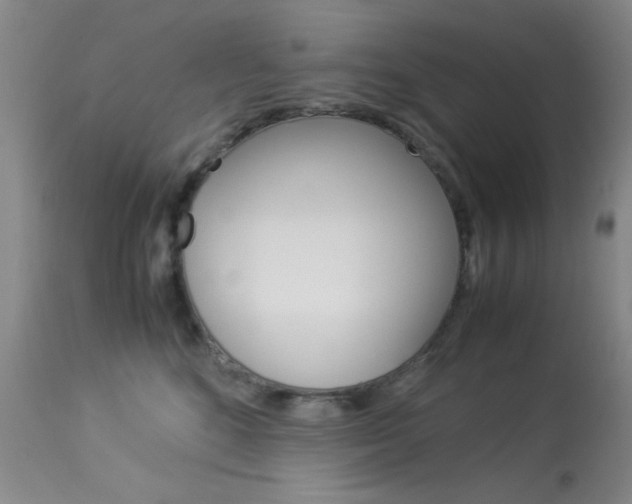 X0000114010520200910020955