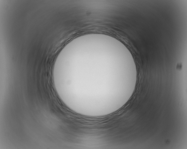 X0000114010521200910020955