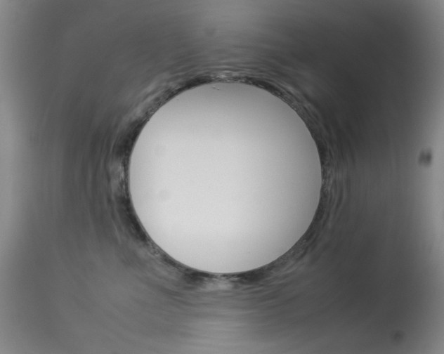 X0000114010523200910020955