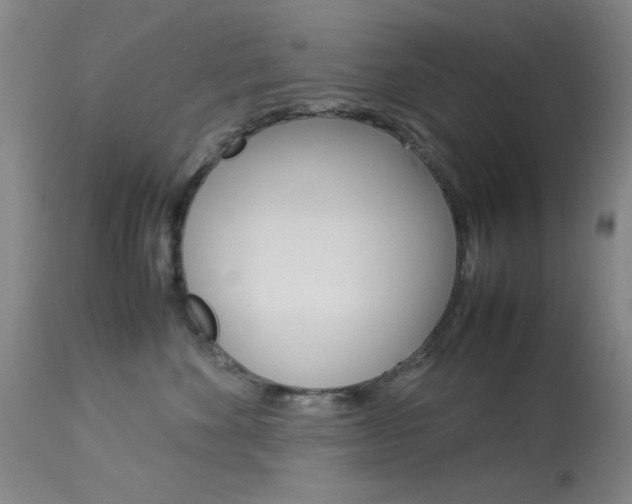 X0000114010524200910020955