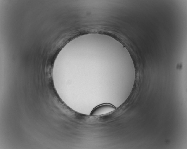 X0000114010525200910020955