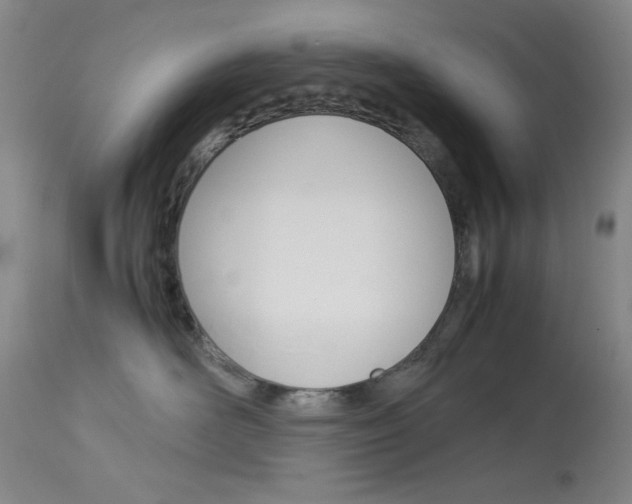 X0000114010526200910020955
