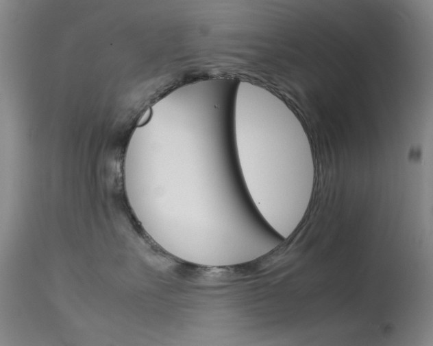 X0000114010527200910020955