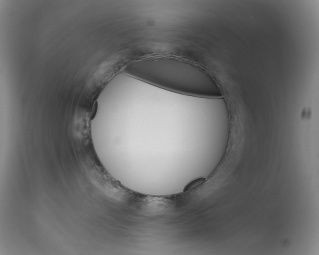 X0000114010528200910020955