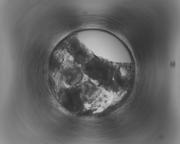 X0000114010529200910020954