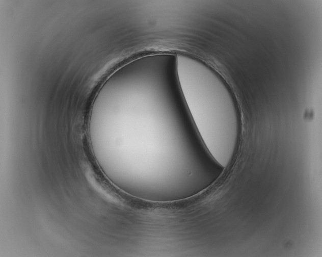 X0000114010530200910020954