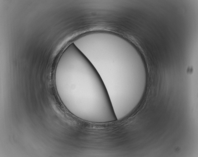 X0000114010531200910020954