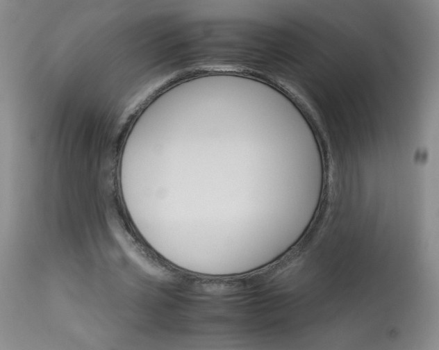 X0000114010533200910020954