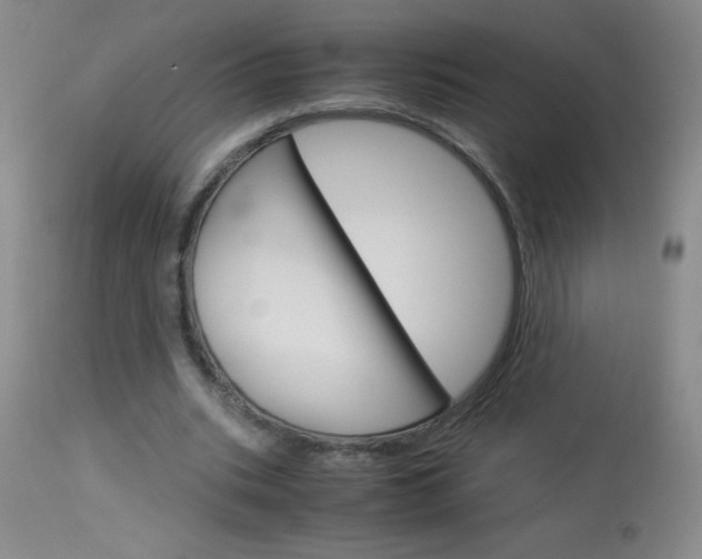 X0000114010535200910020954
