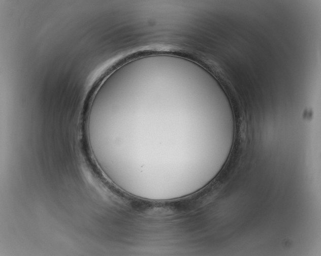 X0000114010536200910020954